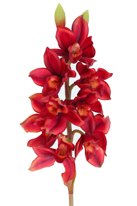 Yapay Çiçek Deposu - Yapay DeLüx Islak Singapur Orkidesi 60 cm Bordo