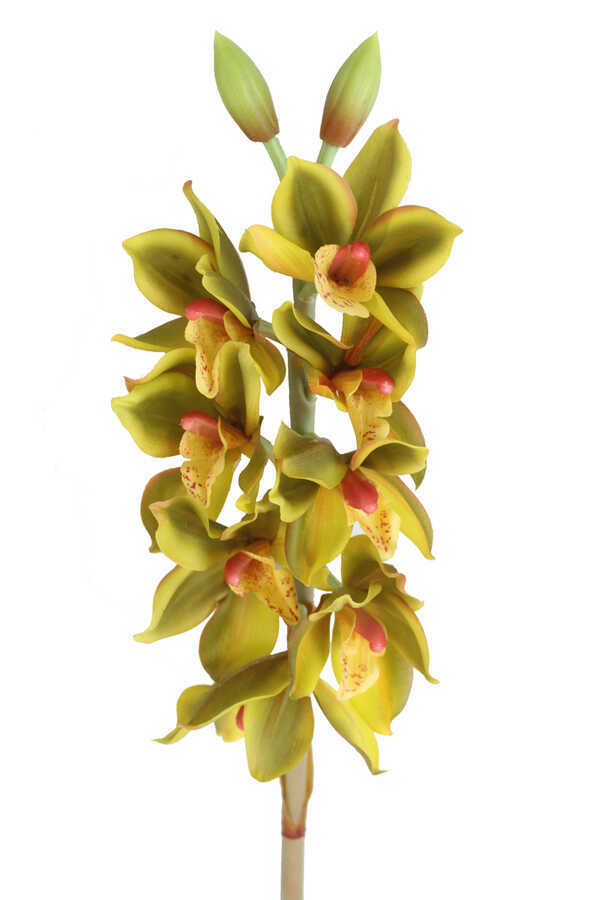Yapay Delüx Islak Singapur Orkidesi 60 Cm Fıstık Yeşili
