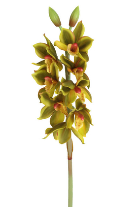 Yapay DeLüx Islak Singapur Orkidesi 60 cm Fıstık Yeşili - Thumbnail
