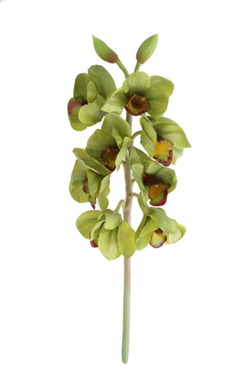 Yapay Çiçek Deposu - Yapay DeLüx Islak Singapur Orkidesi 60 cm Yeşil
