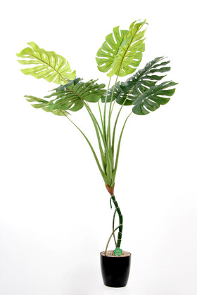Yapay Deve Tabanı Ağacı (bonsai monstera ağacı) Gerçek Dokulu 9 Yapraklı 155 Cm - Yapay Çiçek Deposu