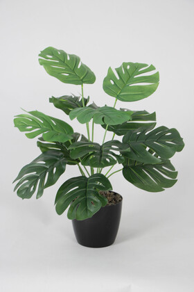 Yapay Devetabanı(monstera) Bitkisi Siyah Saksıda 45 cm - Yapay Çiçek Deposu