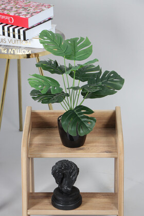 Yapay Devetabanı(monstera) Bitkisi Siyah Saksıda 45 cm - 2