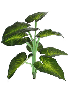 Yapay Çiçek Deposu - Yapay Dekoratif Dieffenbachia Bitkisi 60 cm