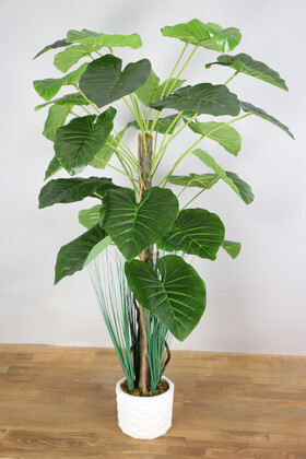 Yapay Çiçek Deposu - Yapay Difenbahya Ağacı 105 cm Beton Saksılı Koyu Yeşil