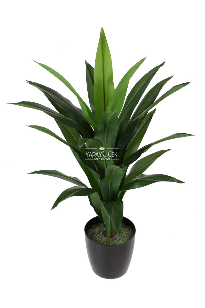 Yapay Ağaç Saksıda Dracaena 100 Cm Koyu Yeşil