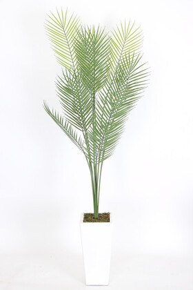 Yapay Çiçek Deposu - Ahşap Beyaz Vazoda 12 Yapraklı Yapay Areka Palmiyesi 150 cm Feniks