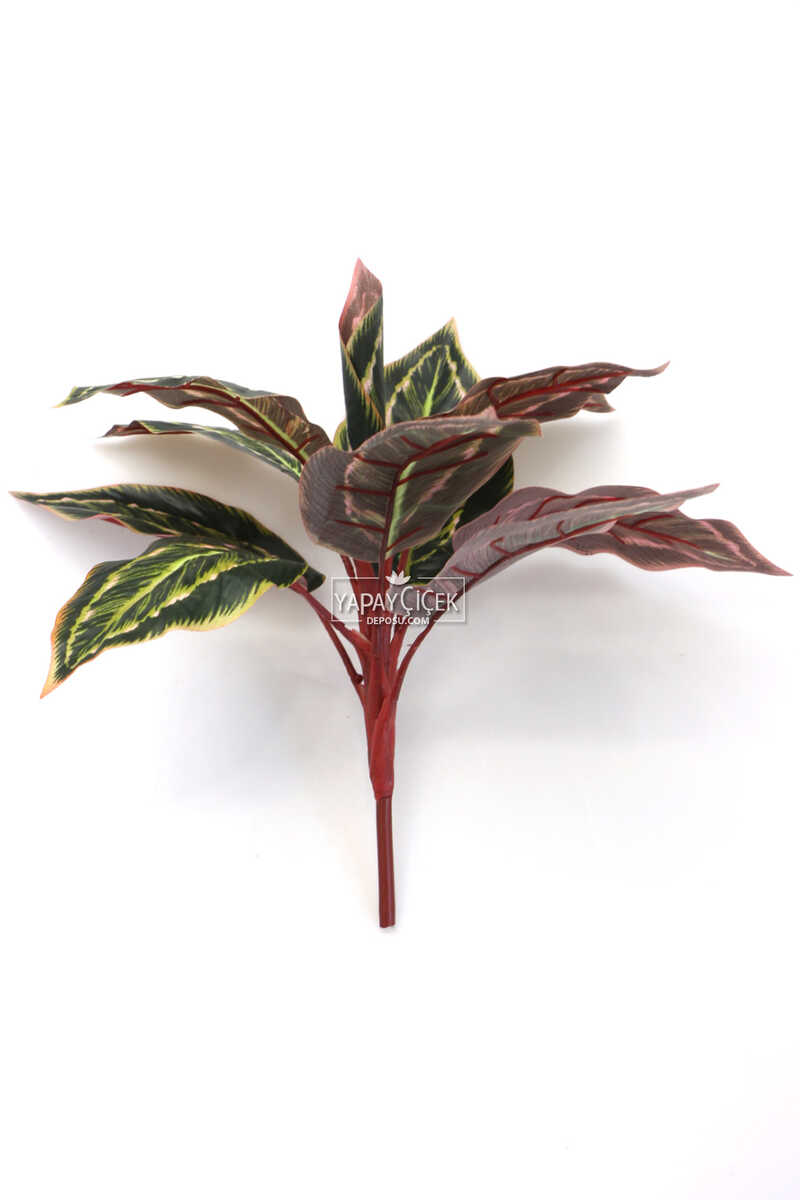 Yapay Fittonia Kraton Bitkisi 40 cm YeşilKızıl Yeşillik Demeti, Tüm