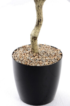 Yapay Zeytin Ağacı Lüx Orjinal Gövde 120 cm - 4