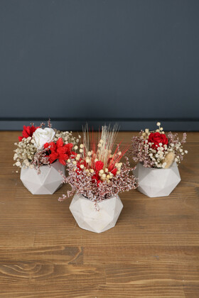 Yapay Çiçek Deposu - Sevgiliye Minik Hediye Gül Kuru Çiçek 3lü Set
