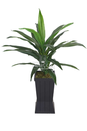 Saksılı Yapay Ağaç Premium Drecina Ağacı 130cm Dracaena Plant (Yeşil) - Thumbnail