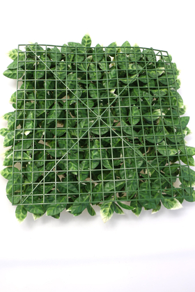 Yapay Portakal Yaprağı Model Duvar Bitki Kaplaması 50x50 cm Yeşil-Beyaz - Thumbnail