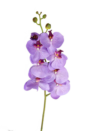 Yapay Çiçek Deposu - Yapay İri Dal Orkide Çiçeği 100 cm Mor