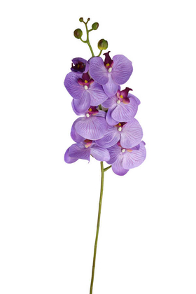 Yapay İri Dal Orkide Çiçeği 100 cm Mor - Thumbnail