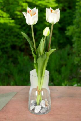 Yapay Islak Dağ Lalesi Tulipa Gesneriana 45cm Beyaz - Yapay Çiçek Deposu