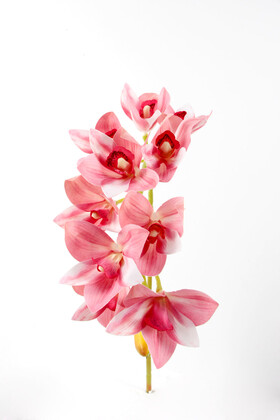 Yapay Islak Dokulu 10 Kandilli Singapur Orkide Çiçeği 75 cm Pembe - 5