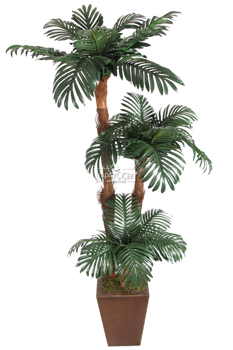 Kokos Gövdeli Yapay Islak Yapraklı Areka Ağacı 180 cm