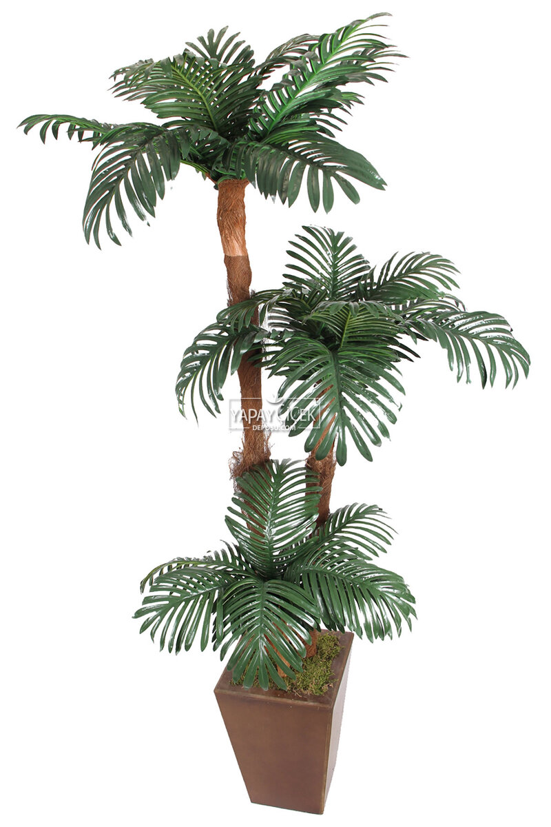 Kokos Gövdeli Yapay Islak Yapraklı Areka Ağacı 180 cm