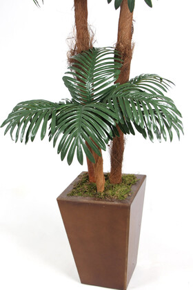 Kokos Gövdeli Yapay Islak Yapraklı Areka Ağacı 180 cm - Thumbnail