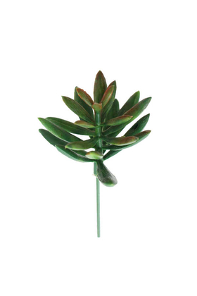 Yapay Çiçek Deposu - Yapay Çiçek Islak Küçük Succulent Senecio Plant Yeşil-Kızıl