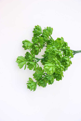 Yapay Çiçek Islak Succulent Demeti Canlı Yeşil - 2