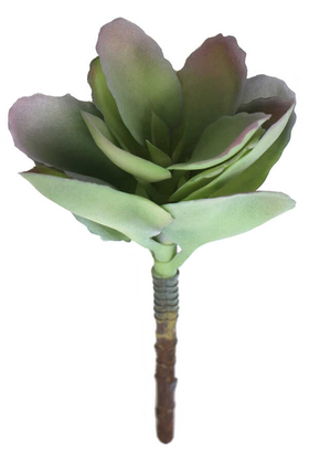 Yapay Çiçek Deposu - Yapay Çiçek Islak Andromischus Succulent Plant 18 cm Yeşil
