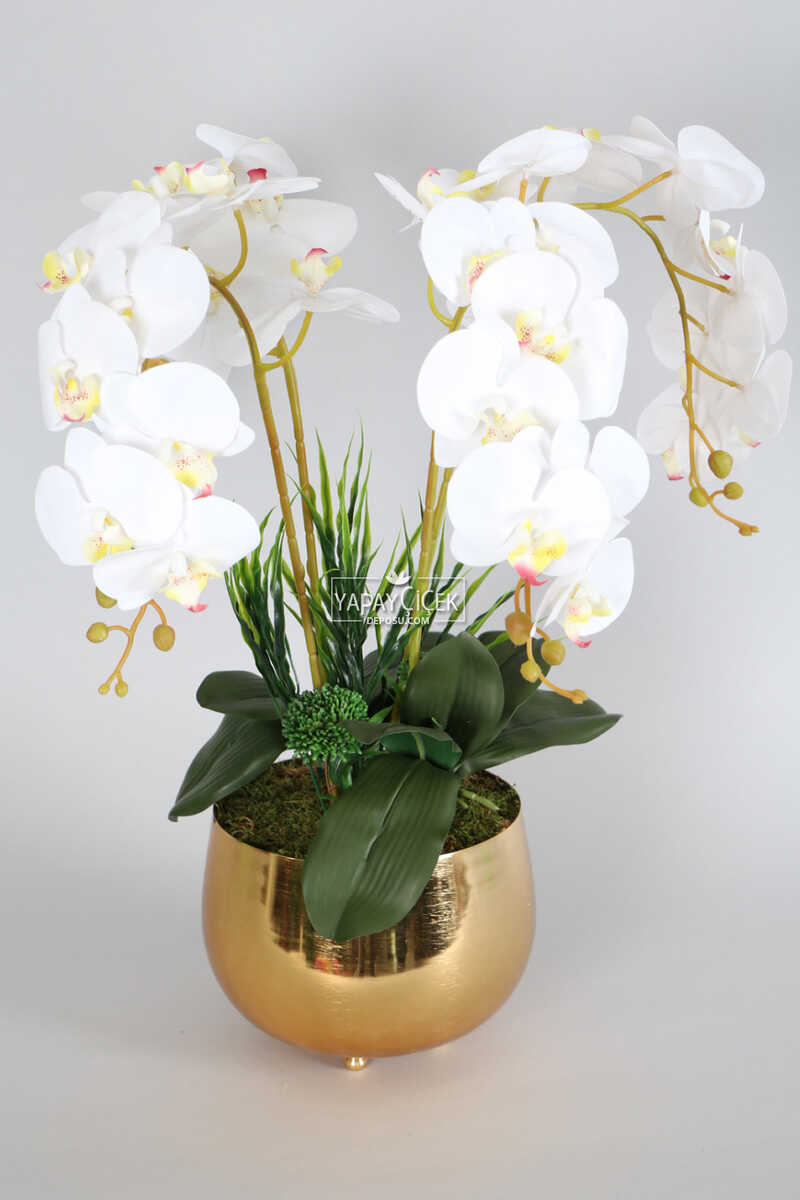 Metal Orta Boy Gold Saksıda Lüx 4lü Orkide Aranjmanı Beyaz