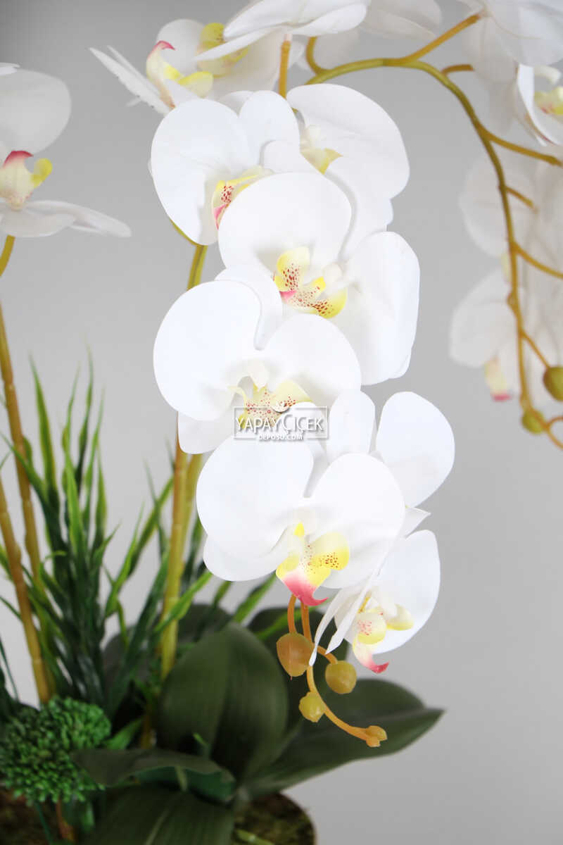 Metal Orta Boy Gold Saksıda Lüx 4lü Orkide Aranjmanı Beyaz