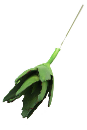 Yapay Çiçek Islak Büyük Succulent Sukulent Aloe 27 cm - Thumbnail