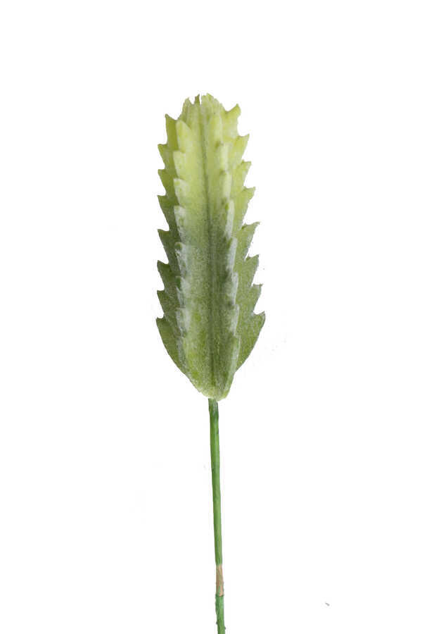 Yapay Çubuk Kaktüs 19 Cm