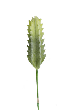 Yapay Çiçek Deposu - Yapay çubuk kaktüs 19 cm
