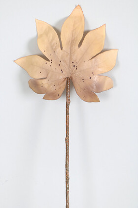 Yapay Çiçek Deposu - Yapay Büyük Tek Dal Japon Çınarı Yaprağı 73 cm Pastel Bej