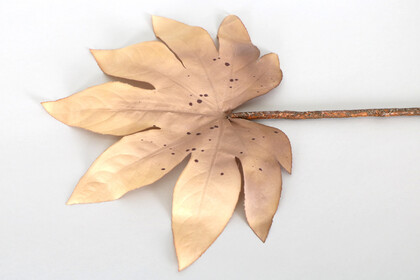Yapay Büyük Tek Dal Japon Çınarı Yaprağı 73 cm Pastel Bej - 3