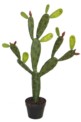 Yapay Çiçek Deposu - Yapay Kaktüs Ağacı 90 cm Geniş Model