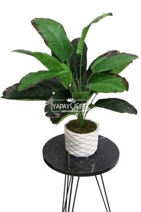 Yapay Çiçek Beton Saksıda18 Dallı Lüx Egzotik Bitki 65cm Yeşil-Kahve - Thumbnail