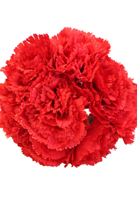 Yapay Çiçek 8li Karanfil Demeti Kırmızı - Thumbnail