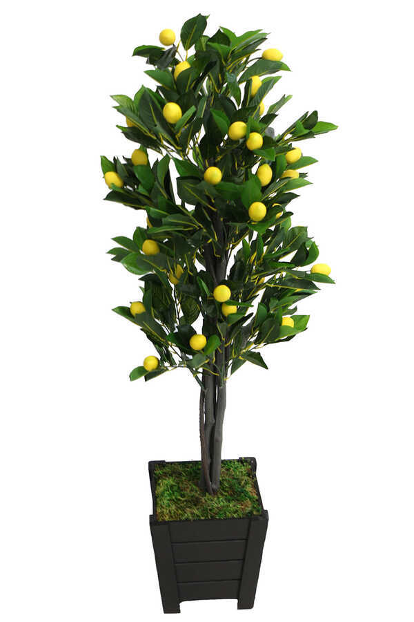 Yapay Kaliteli İri Limon Ağacı Ahşap Siyah Saksıda 140cm