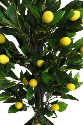 Yapay Kaliteli İri Limon Ağacı Ahşap Siyah Saksıda 140cm - 3