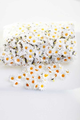 Yapay Çiçek Deposu - Yapay Kelle Papatya Kafa Papatya 100 Adet Beyaz