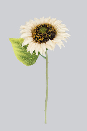 Yapay Çiçek Deposu - Yapay Ayçiçeği Dalı 33 cm Krem