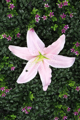 Yapay Dikey Bitki Hazır Duvar Paneli 55 cm x 55 cm Model 10 - 2