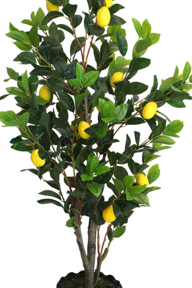 Yapay Lüx Limon Ağacı 180 cm - Thumbnail