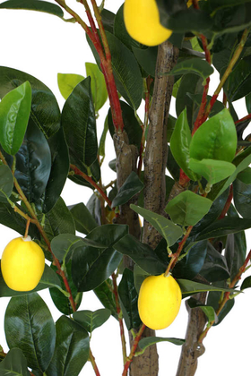 Yapay Lüx Limon Ağacı 180 cm - 3