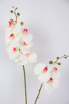Yapay 3D 2li Islak Orkide Çiçeği 90 cm Beyaz-Pembe - Thumbnail