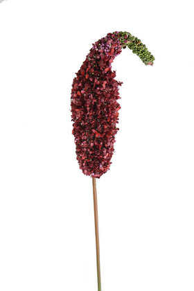 Yapay Çiçek Deposu - Yapay Lüx Top Soğan Püskülü Kırmızı 100 cm