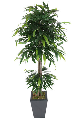 Ahşap Saksıda Yapay Mango Ağacı 180 cm - Yapay Çiçek Deposu
