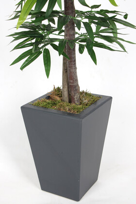 Ahşap Saksıda Yapay Mango Ağacı 180 cm - Thumbnail