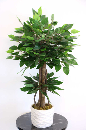 Yapay Çiçek Deposu - Beton Saksıda Mini Benjamin Ağacı 75 cm