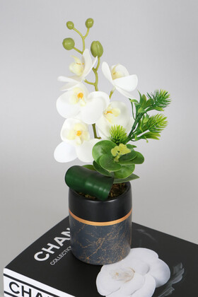 Exclusive Saksıda 5 Kandilli Mini Yapay Islak Orkide Tanzimi 30 cm - Thumbnail