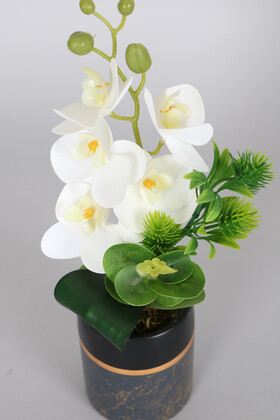 Exclusive Saksıda 5 Kandilli Mini Yapay Islak Orkide Tanzimi 30 cm - Thumbnail